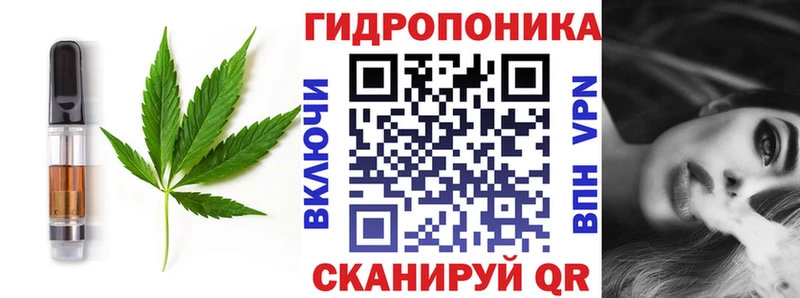 Cannafood конопля  Купить закладки  Ардон 