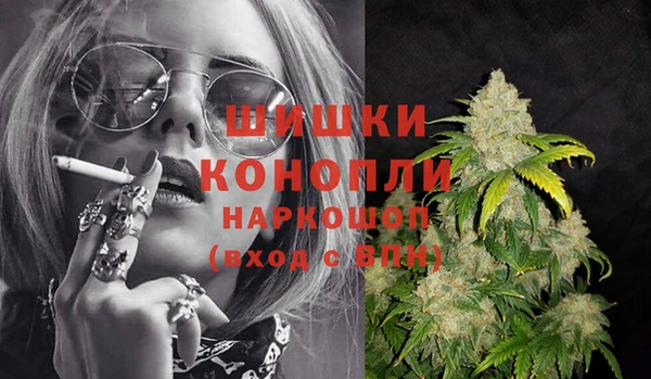 spice Вяземский