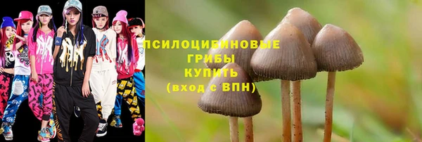 стаф Гусев