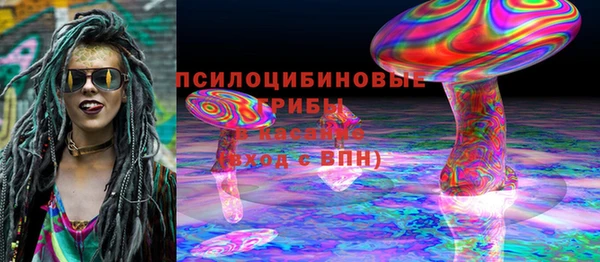 spice Вяземский