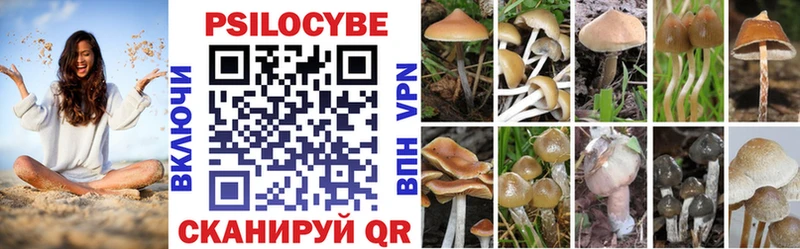 Псилоцибиновые грибы мицелий  Купить закладки  Ардон 
